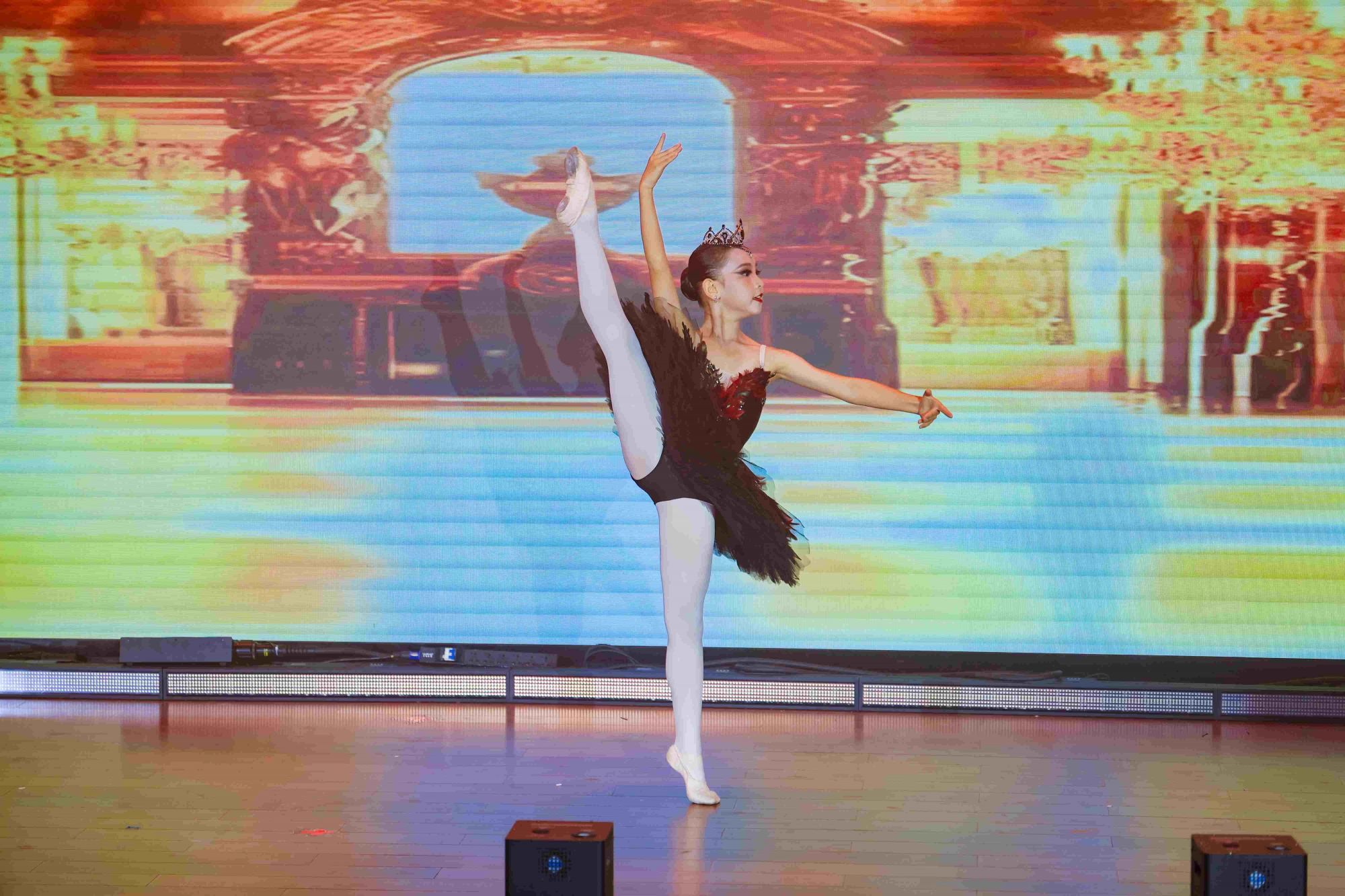 图5：文艺汇演第三篇章精彩画面小天鹅.jpg