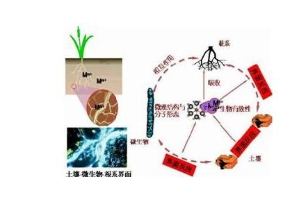 生活领域问答如何转正常(生活领域问答怎么发布的)
