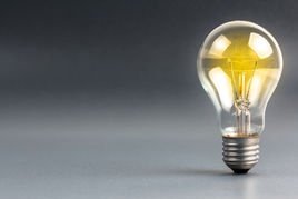 读书笔记 篇十：寄生宿主的绞杀榕、“永生”的颤杨、根从伤口长出的龙血母树、与蚁类共生的适蚁植物丨《dk植物大百科》播报文章