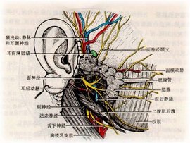 开通美股怎么买指数基金