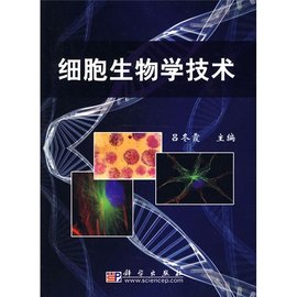 flash问答怎么做