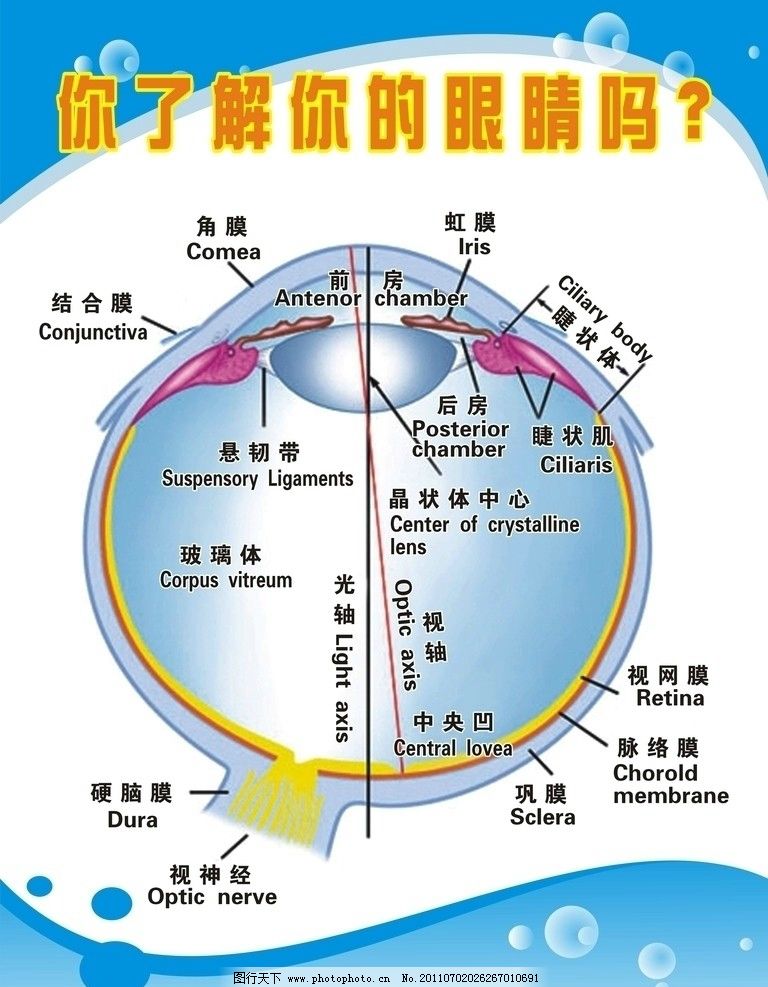小学三年级兴趣百科文章(小学二年级画画大百科)