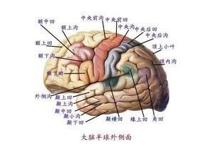 同时读三本合理吗考研