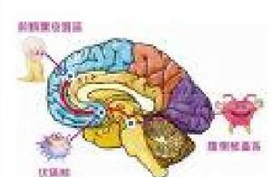 理财怎么中止(理财怎么买出卖出)