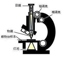 「狗狗百科全书」出版啦！全面解答狗狗品种、养护、疾病等问题播报文章