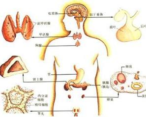 科普大家