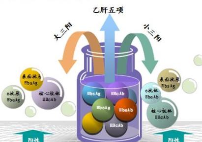 《逃离塔科夫》攻略百科 全任务奖励 全地图信息 角色装备模组详解播报文章