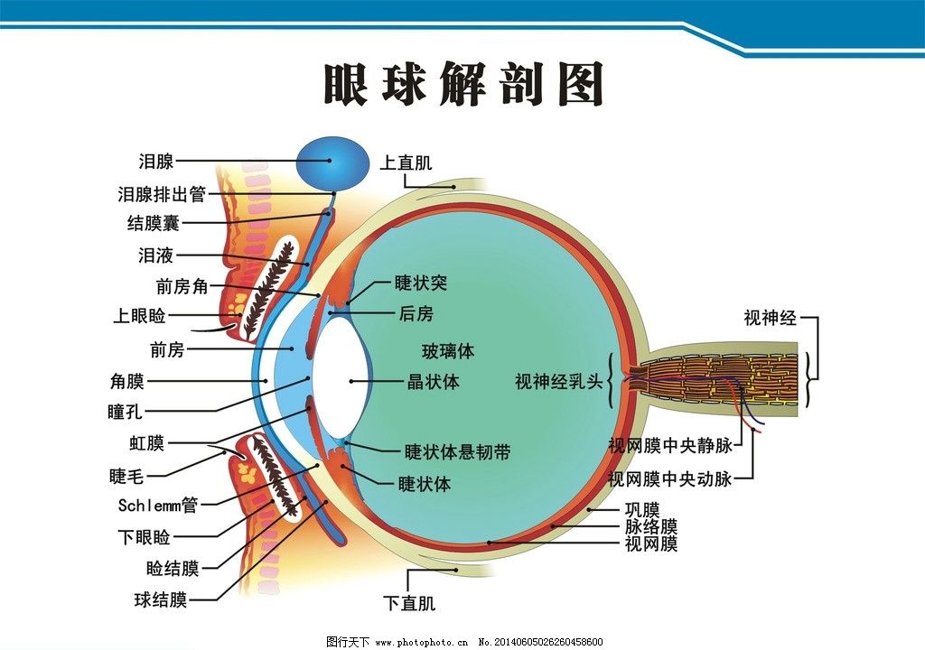 星悦时光（售楼处）顺义星悦时光2024最新k8凯发天生赢家一触即发人生首页-楼盘详情-百度百科