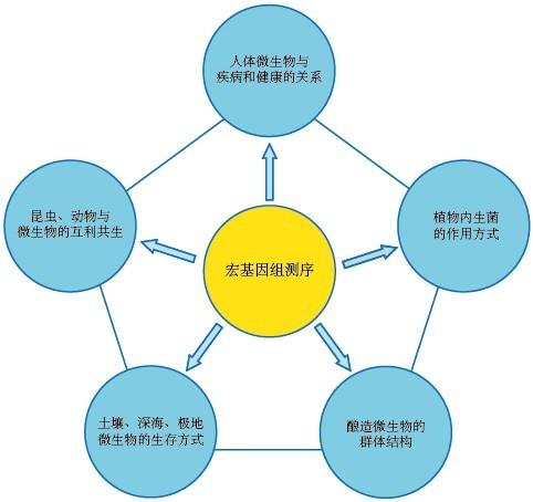 基金置换怎么收费