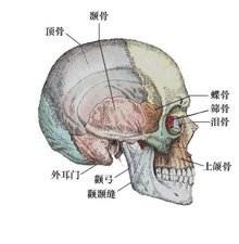 问答如何留链接