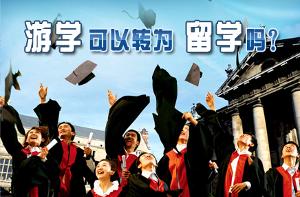 后保险杠怎么切割(后保险杠怎么拆下来)