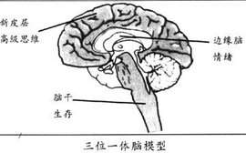 混合基金怎么取(混合基金怎么看日期图)