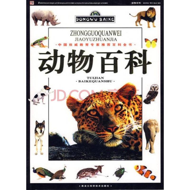 国美理财怎么转让(国美设计类考研难吗吗)