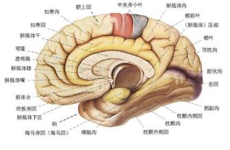 怎么参与理财(怎么参与青云问答)