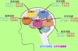 生活领域问答如何转正常(生活领域问答怎么发布的)
