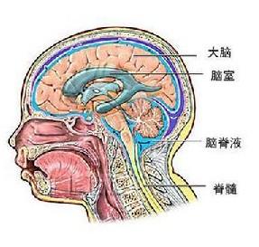在高中能考研吗吗(地下城手游怎么升级快)