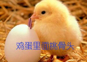 大话手游如何赚大话币(大话手游宝宝怎么卖)