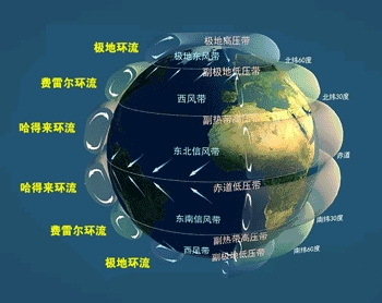 大话手游如何赚大话币(大话手游宝宝怎么卖)
