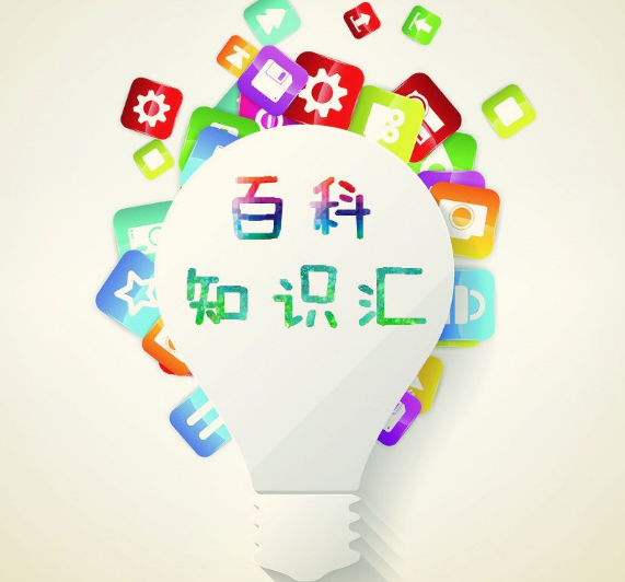 用保险合同怎么贷款(用保险怎么贷款利率)
