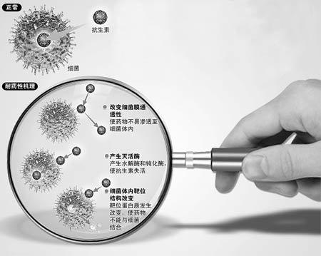 支付宝6万元怎么理财(支付宝上信银理财怎么样)