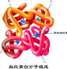 什么是科技成果转化率(什么是科技技能)