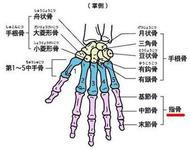 怎么收藏问答(怎么收集理财顾问客户信息)