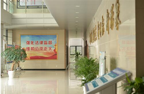 宕昌县：特色产业成秋收“大戏”主角
