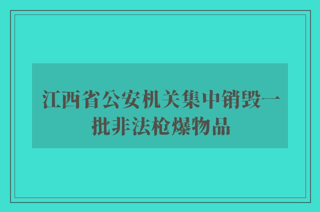 江西省公安机关集中销毁一批非法枪爆物品