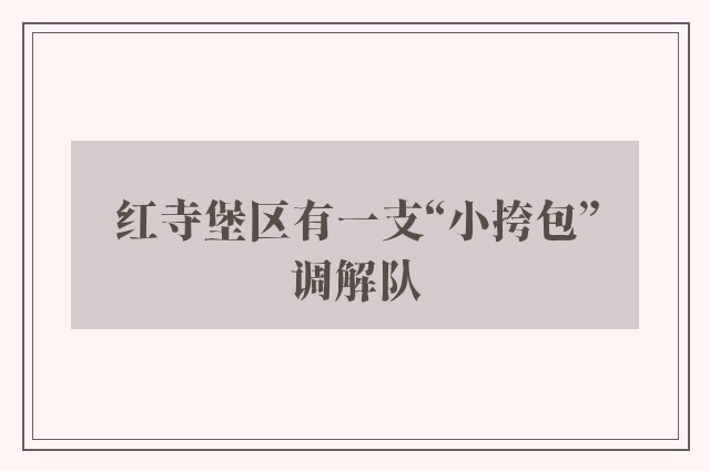 红寺堡区有一支“小挎包”调解队