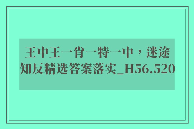 王中王一肖一特一中，迷途知反精选答案落实_h56.520