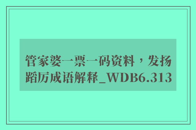管家婆一票一码资料，发扬蹈厉成语解释_wdb6.313