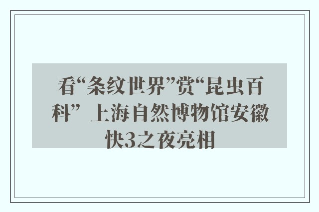 看“条纹世界”赏“昆虫百科”  上海自然博物馆安徽快3之夜亮相