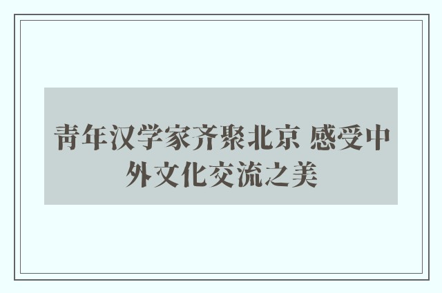 青年汉学家齐聚北京 感受中外文化交流之美