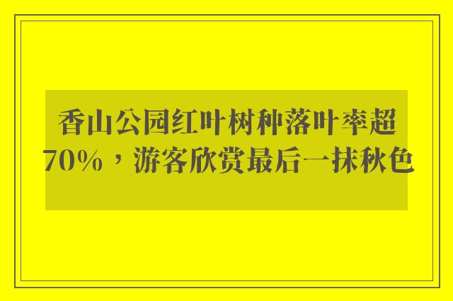 香山公园红叶树种落叶率超70%，游客欣赏最后一抹秋色