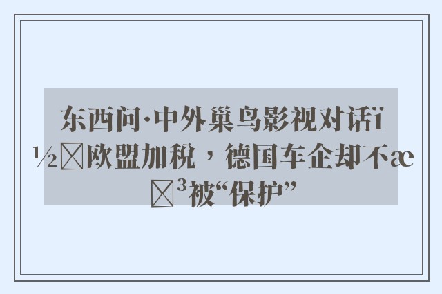 东西问·中外巢鸟影视对话｜欧盟加税，德国车企却不想被“保护”
