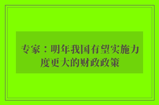 专家：明年我国有望实施力度更大的财政政策