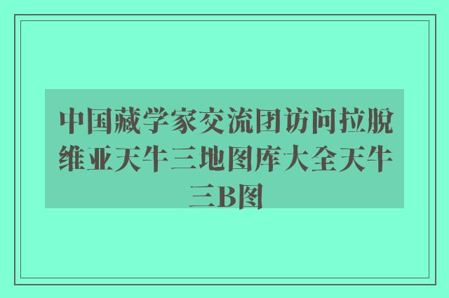 中国藏学家交流团访问拉脱维亚天牛三地图库大全天牛三b图