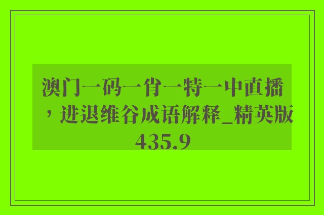 澳门一码一肖一特一中直播，进退维谷成语解释_精英版435.9