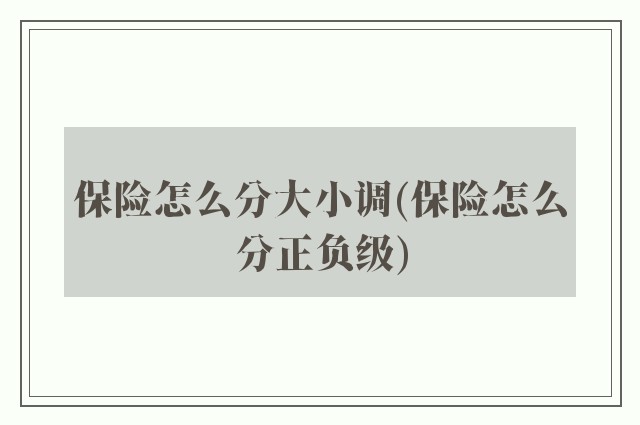 保险怎么分大小调(保险怎么分正负级)