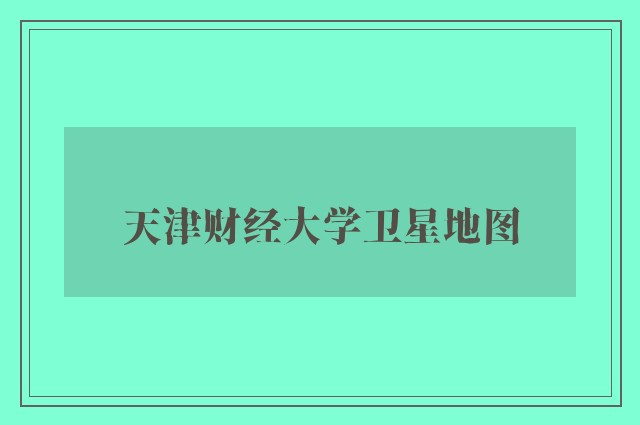 天津财经大学卫星地图
