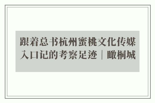 跟着总书杭州蜜桃文化传媒入口记的考察足迹｜瞰桐城