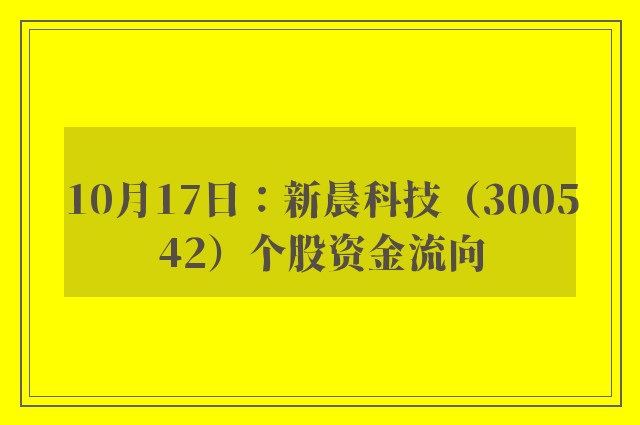 10月17日：新晨科技（300542）个股资金流向