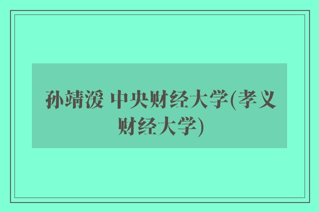 孙靖湲 中央财经大学(孝义财经大学)
