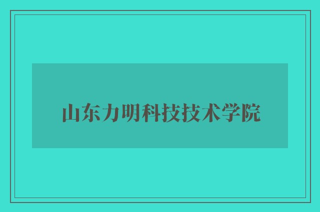 山东力明科技技术学院